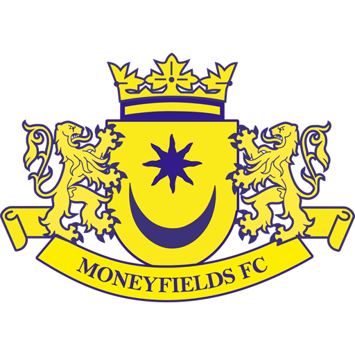 Moneyfields badge Moneyfields badge