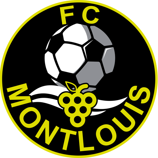 Montlouis badge
