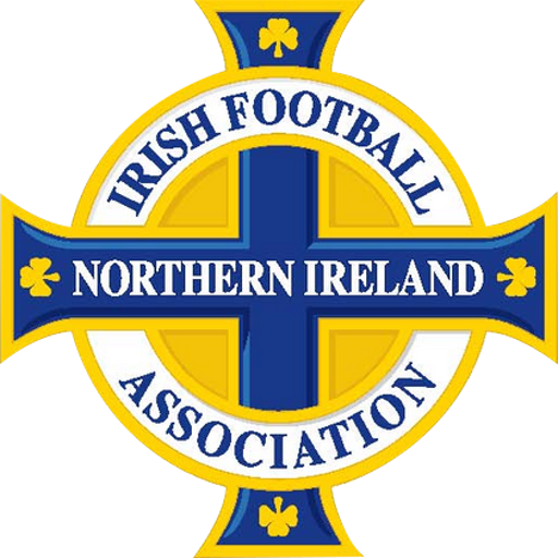 N.Ireland badge