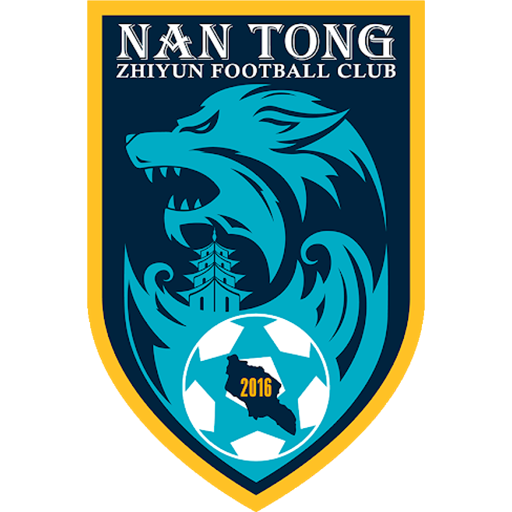 Nantong Zhiyun badge Nantong Zhiyun badge