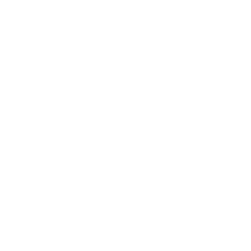 New Zealand Rugby Women badge New Zealand Rugby Women badge