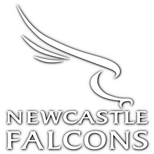 Newcastle Red Bulls badge Newcastle Red Bulls badge