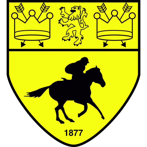 Newmarket Town badge Newmarket Town badge