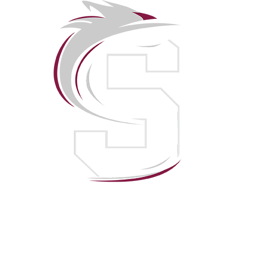Surrey t20 vs Northants Steelbacks badge right