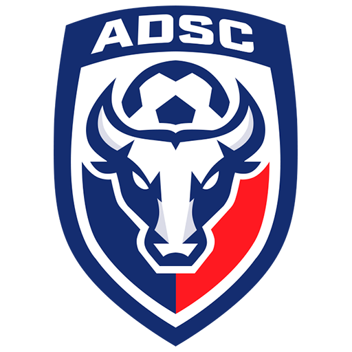 Pérez Zeledón badge
