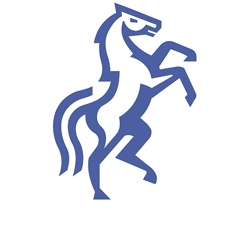 Politehnica Iași badge Politehnica Iași badge