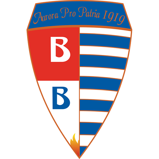 Pro Patria badge Pro Patria badge