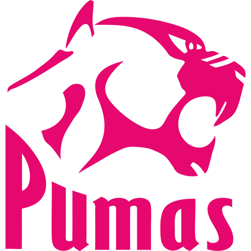 Sharks XV vs Pumas badge right