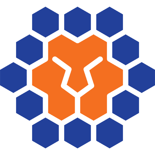 Queensland Lions badge