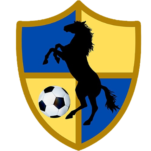 Racing United badge Racing United badge
