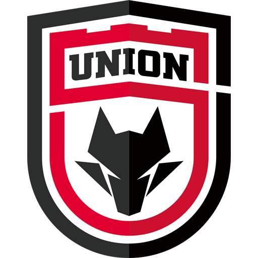 Shaanxi Union badge