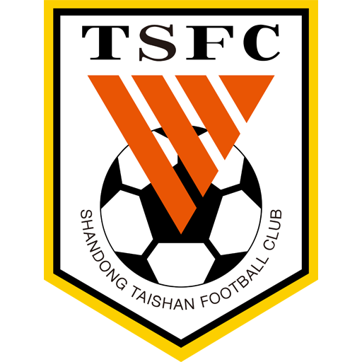 Shandong Taishan B badge