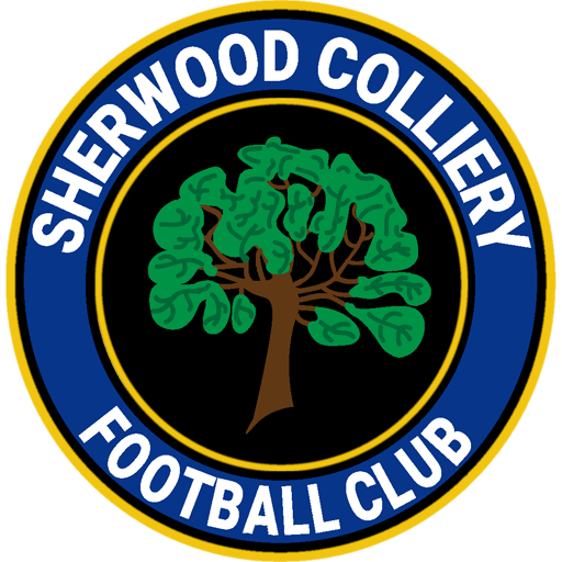Sherwood Colliery badge Sherwood Colliery badge