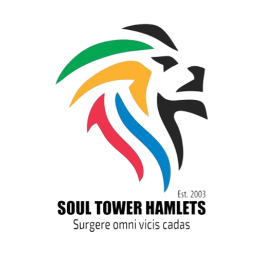 Soul Tower Hamlets badge Soul Tower Hamlets badge