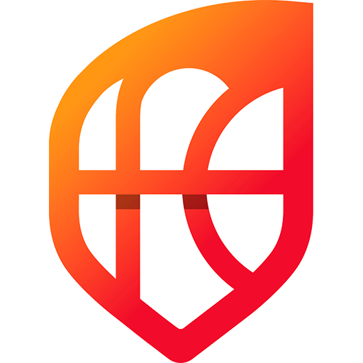 Spain Basketball badge
