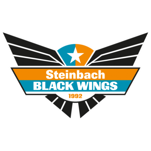 Steinbach Black Wings 1992 badge Steinbach Black Wings 1992 badge