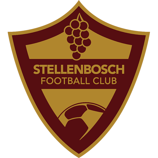 Stellenbosch badge