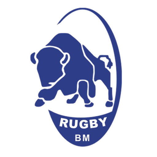 Știința Baia Mare badge Știința Baia Mare badge