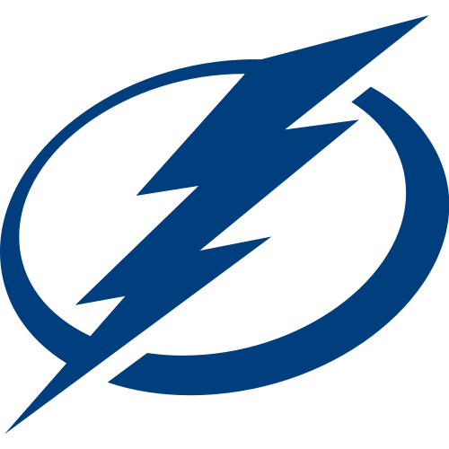 Tampa Bay Lightning badge Tampa Bay Lightning badge