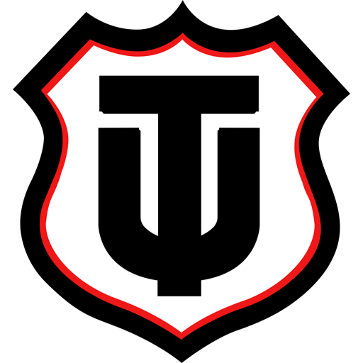 Técnico Universitario badge Técnico Universitario badge
