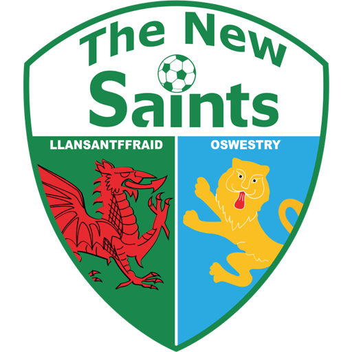 The New Saints badge The New Saints badge