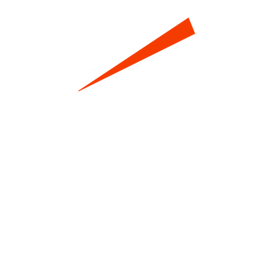 Trent Rockets Women badge Trent Rockets Women badge