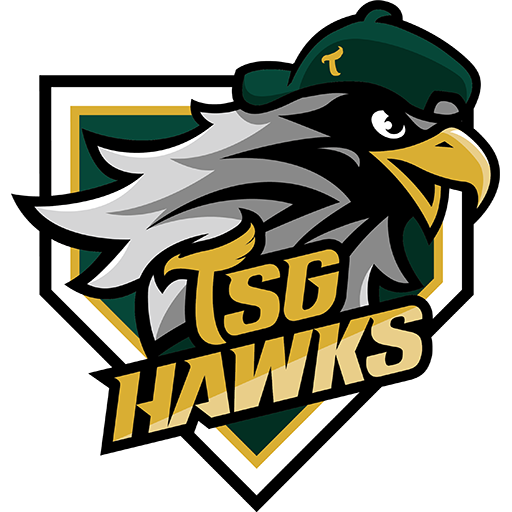 TSG Hawks badge