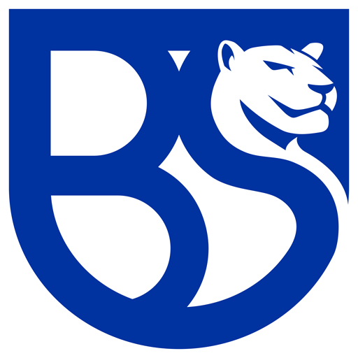 Union Brescia badge Union Brescia badge