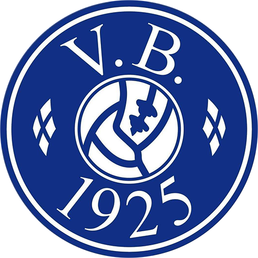 Vejgaard badge Vejgaard badge