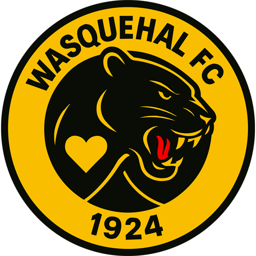 Wasquehal badge