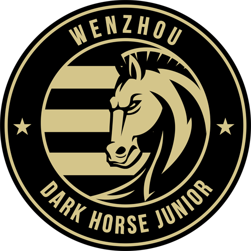 Wenzhou FC badge