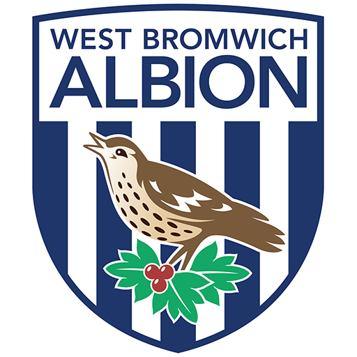 Stoke City vs West Bromwich Albion badge right