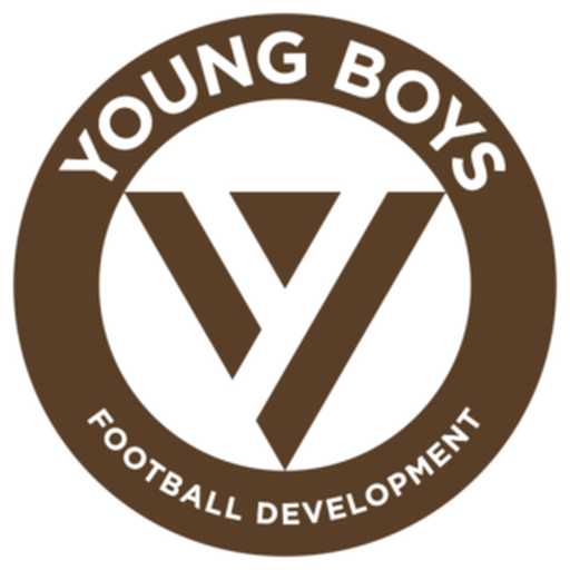 Young Boys FD badge Young Boys FD badge