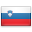 Slovenia flag