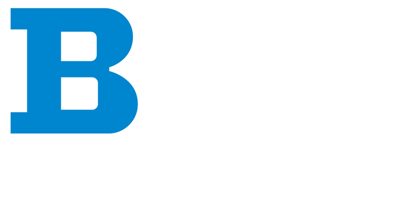 Big Ten Network logo