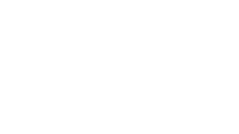 Eleven Sports 2 Portugal logo