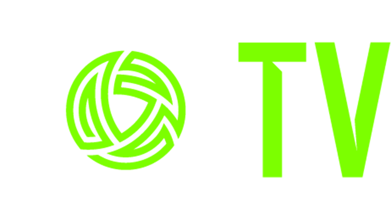 LOI TV IE logo