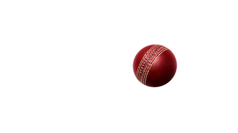 Willow US logo