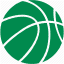 Basketball icon