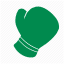 Fighting icon